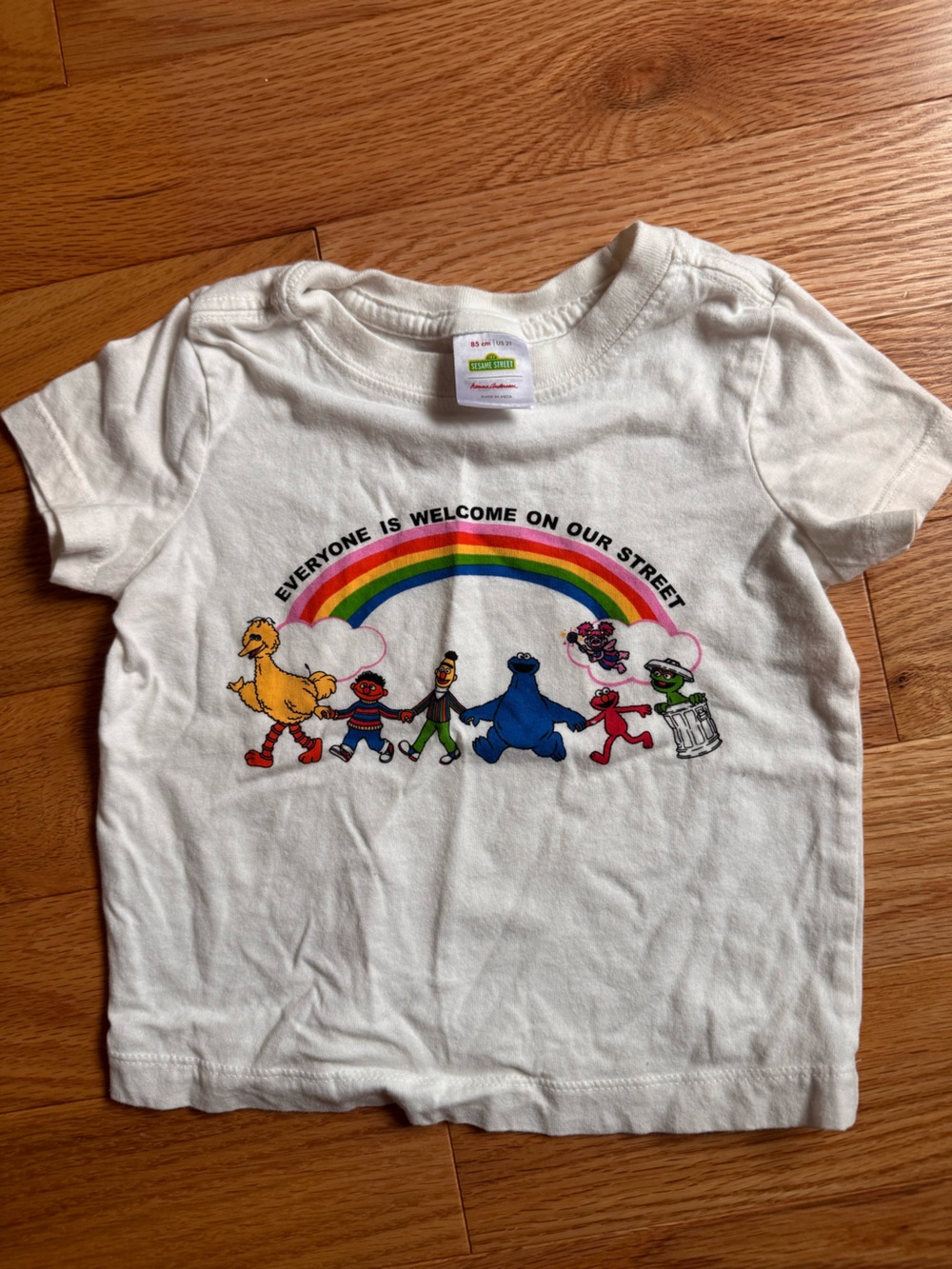 Hanna Andersson Sesame Street Rainbow Graphic Tee